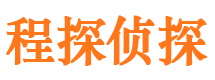 错那侦探